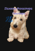 Обложка книги "Память Финистера Твистера"