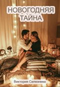 Обложка книги "Новогодняя тайна"