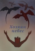 Обложка книги "Хозяин небес"