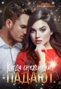 Обложка книги "Когда снежинки падают"