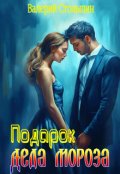 Обложка книги "Подарок Деда Мороза"