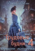 Обложка книги "Трудовые будни барышни-попаданки 4"