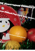 Обложка книги "Новогодняя Солянка 3 или Новый Год коту под хвост "