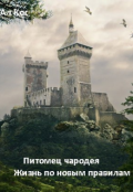 Обложка книги "Питомец чародея. Жизнь по новым правилам (книга 2)"