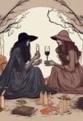 Обложка книги "Ведьма и Волшебница"