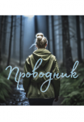 Обложка книги "Проводник"