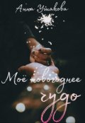 Обложка книги "Моё новогоднее чудо"