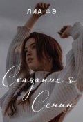 Обложка книги "Сказание о Сенин"