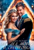 Обложка книги "(не) Дед Мороз и Снегурочка"