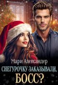 Обложка книги "Снегурочку заказывали, Босс?"