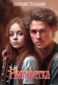 Обложка книги "Нимфетка"