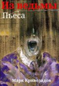 Обложка книги "Из ведьмы"