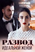Обложка книги "Развод с идеальной женой"