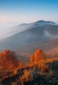 Обложка книги "Почему я не стал ювелиром"
