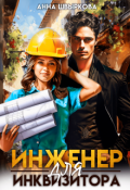 Обложка книги "Инженер для инквизитора"