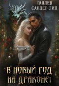 Обложка книги "В новый год на драконе!"