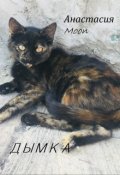 Обложка книги "Дымка"