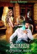 Обложка книги "Экзамен в другом мире"