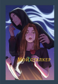 Обложка книги "Мой сталкер "