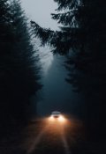 Обложка книги "Джеймс"