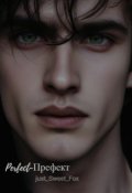 Обложка книги "Perfect-Префект"