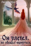 Обложка книги "Он улетел, но обещал вернуться"