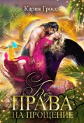 Обложка книги "Без права на прощение"