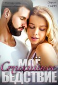 Обложка книги "Моё стихийное бедствие. 1 часть"