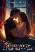 Обложка книги "Одна ночь с темным магом (мини-сборник)"