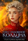 Обложка книги "Три с половиной колдуна 2"