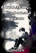 Обложка книги "Осколки прошлой жизни"