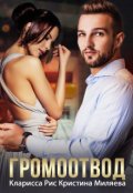 Обложка книги "Громоотвод"