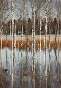 Обложка книги "Талая вода"