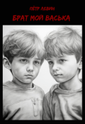 Обложка книги "Брат мой Васька"