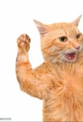 Обложка книги "Испорченный праздник или один день из жизни кота Кузьмы"