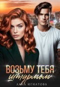 Обложка книги "Возьму тебя штурмом"