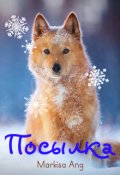 Обложка книги "Посылка"