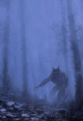 Обложка книги "Охотник"