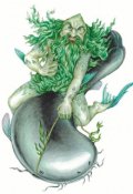 Обложка книги "Сом"