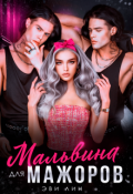 Обложка книги "Мальвина для мажоров"