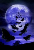Обложка книги "Лунные бабочки"
