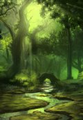 Обложка книги "Не-воротись ручей"