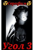 Обложка книги "Угол 3"