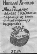 Обложка книги "Серый Дом наизнанку "