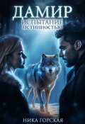 Обложка книги "Дамир. Испытание истинностью"