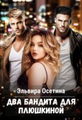 Обложка книги "Два бандита для Плюшкиной"