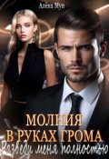 Обложка книги "Молния в руках Грома. Разведи меня полностью"