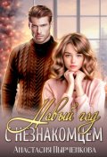 Обложка книги "Новый год с незнакомцем"