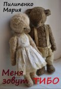 Обложка книги "Меня зовут Тибо"