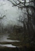 Обложка книги "Aeger anima"